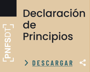Declaración de Principios
