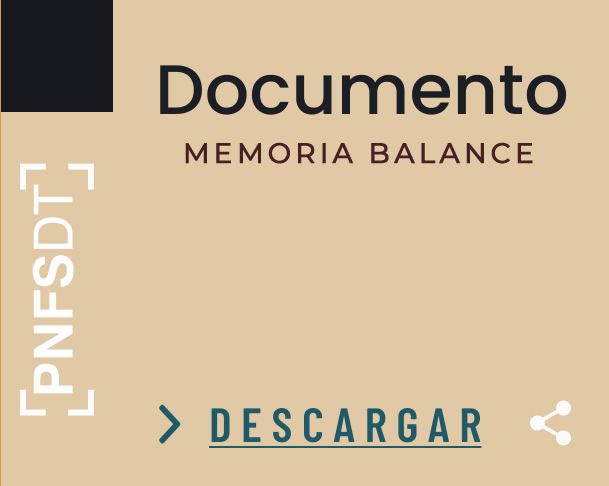 Documento Memoria y Balance